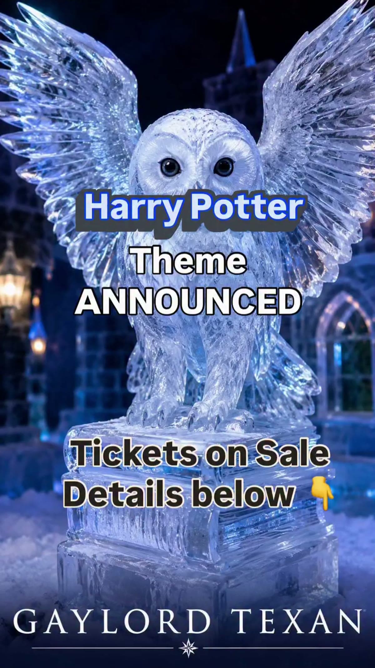 ICE! de Harry Potter en el Gaylord Texan
