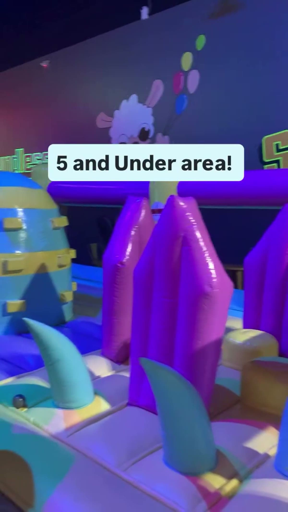 Super Llama Inflatable Park