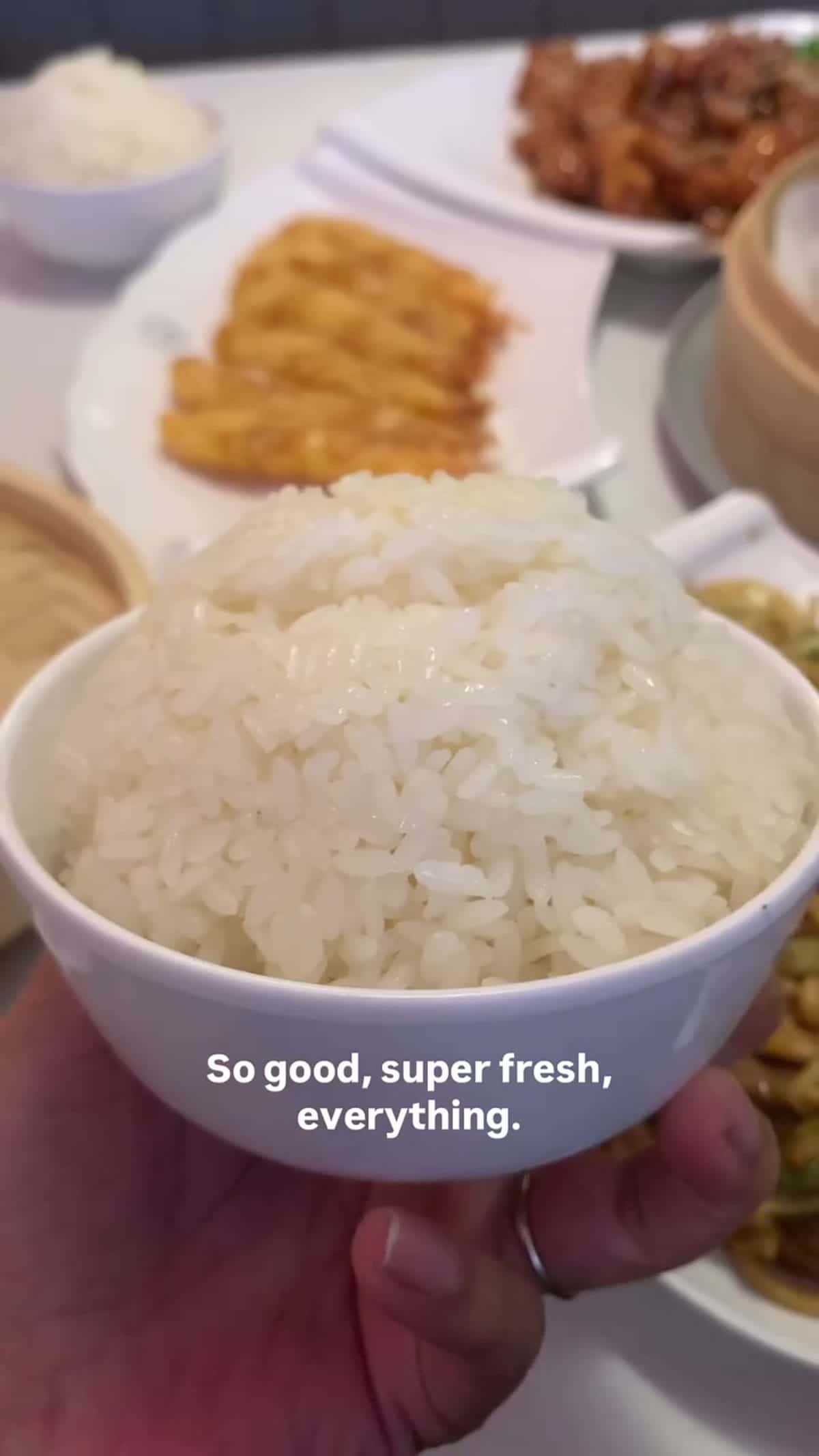 Noodles & Dumplings